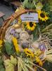 Zdjęcie DSC_0018.jpg