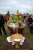 Zdjęcie DSC_0022.jpg