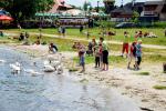 Zdjęcie DSC_0029.jpg