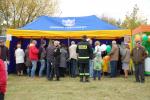 Zdjęcie DSC_0096.jpg
