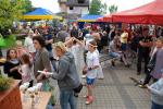Zdjęcie DSC_2572.jpg
