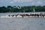 Zdjęcie DSC_5174.jpg