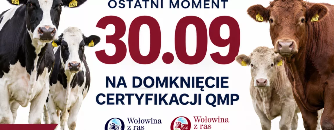baner Certyfikat QMP