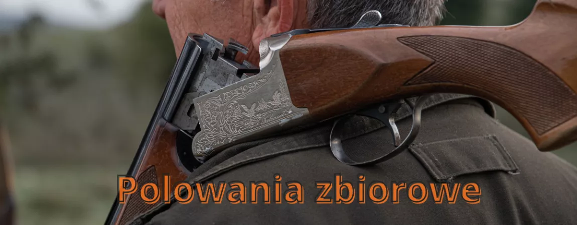 Polowania