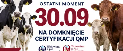 baner Certyfikat QMP