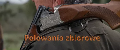 Polowania