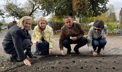Akcja charytatywna Pola Nadziei w Nieporęcie, na zdjęciu pani wójt Agnieszka Powała i urzędnicy gminni sadzą żonkile