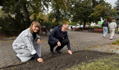 Akcja charytatywna Pola Nadziei w Nieporęcie, na zdjęciu urzędnicy gminni sadzą żonkile